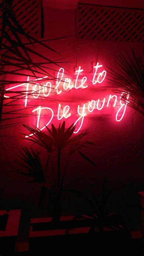 Red Passion Neon Signs Red Aesthetic Text