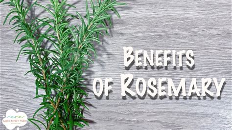 Benefits Of Rosemary Youtube