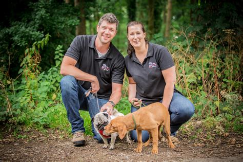 Dog Walker Pet Sitter And Pet Care Services Calne We Love Pets