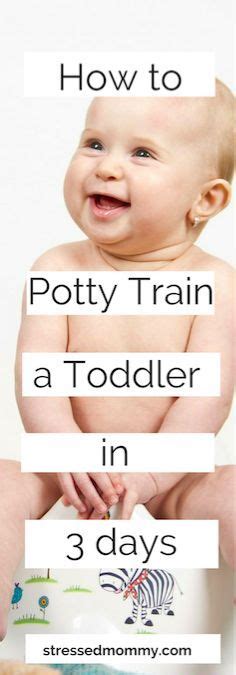 How To Potty Train A Toddler In Three Days With Images Toddler