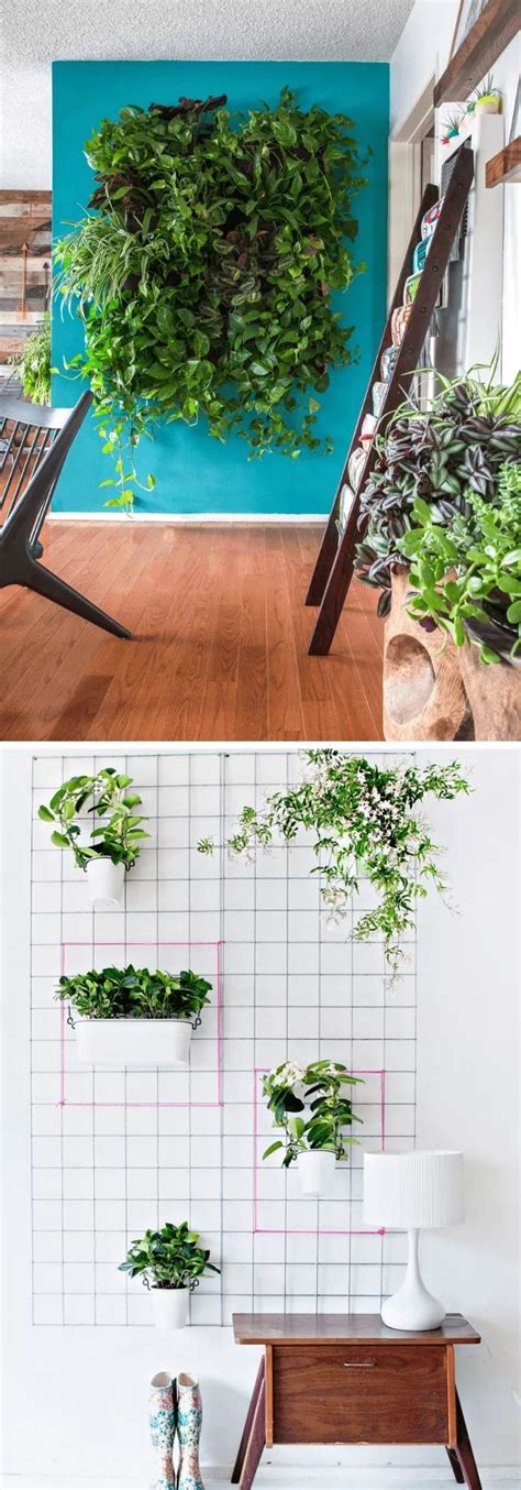 15 Best Diy Indoor Plant Wall Projects And Ideas For 2020