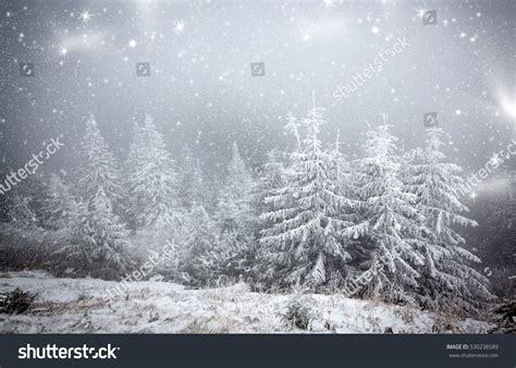 Winter Wonderland Christmas Background With Snowy Fir Trees In The