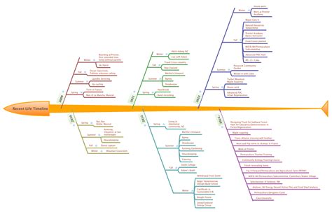 Recent Life Timeline Xmind Mind Mapping Software