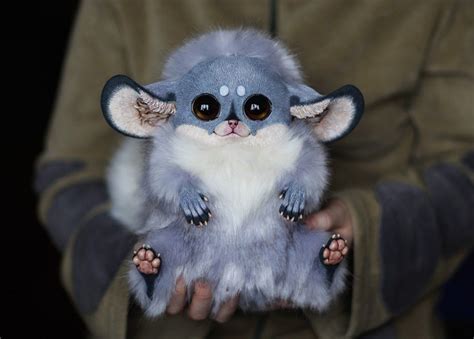 Inari Fox Arctic