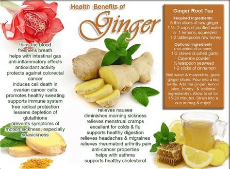 proven health benefits and uses of ginger zingiber officinale