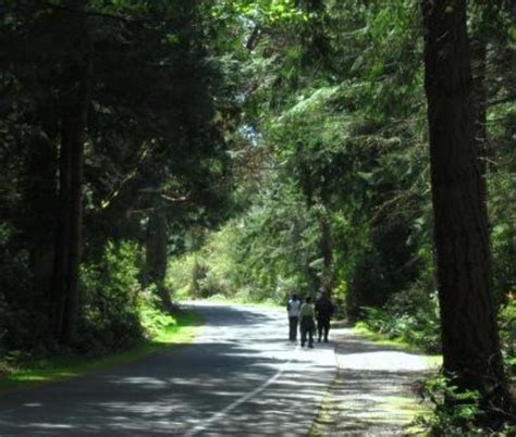 Five Mile Drive And Trails 2021 18 Top Things To Do In Tacoma