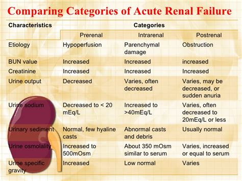 Clinical manifestations, diagnostic assessment, and etiology of heart failure in elderly. Renal Failure