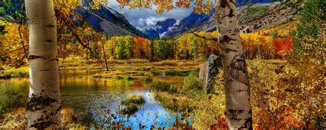 Fall Dual Screen Wallpapers Top Free Fall Dual Screen Backgrounds