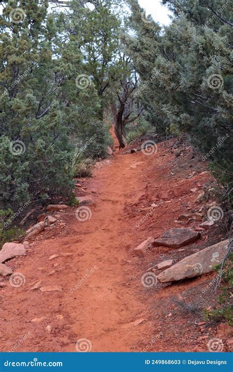 Packed Dirt Hiking Trail Through Wooded Area Stock Image Image Of