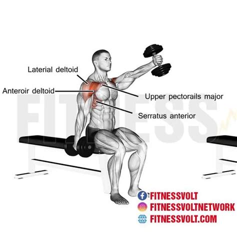 Seated Alternate Dumbbell Front Raises Exercise How To Skimble