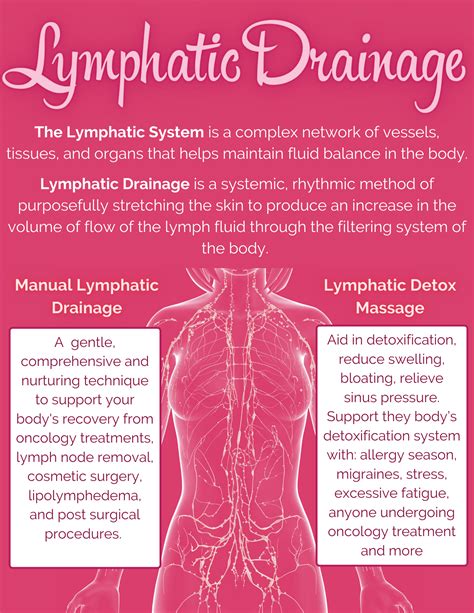 Lymphatic Drainage — Therapeutic Bodywork