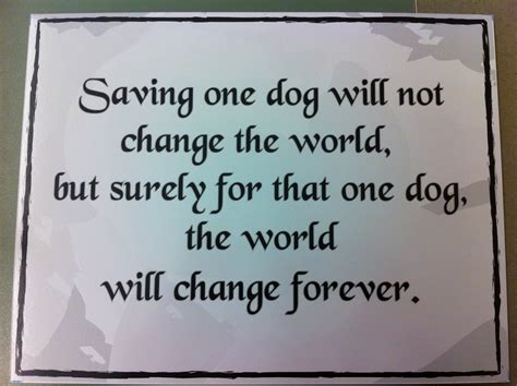 Quotes About Pet Adoption 26 Quotes
