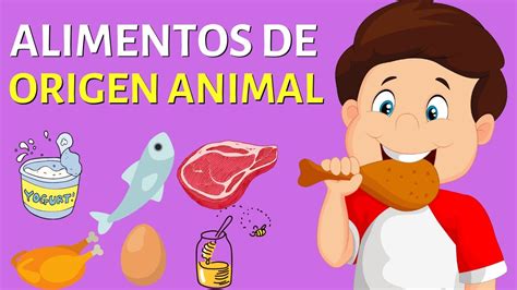 20 Alimentos De Origen Animal Propiedades Y Características🍖🦐🥚 Youtube