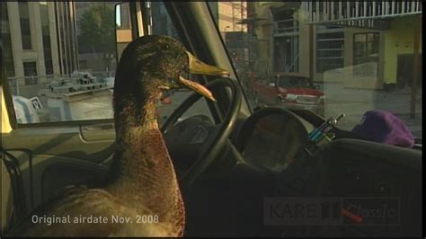 Land Of 10000 Stories Duck In A Truck Youtube