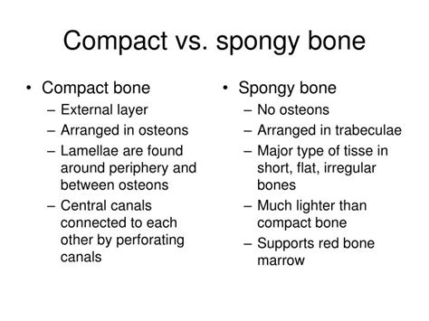 Compact bone is dense so that it can withstand compressive forces, while spongy (cancellous) bone has open spaces and supports shifts in weight distribution. PPT - Bone tissue PowerPoint Presentation - ID:3789920