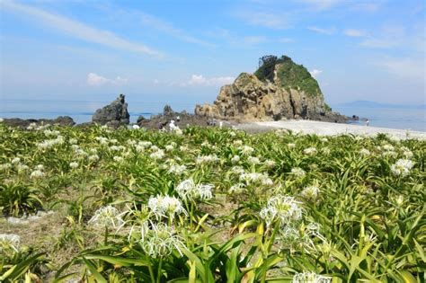 Hiburi Jima Island Okino Shima ｜ Uwajima City Official Sightseeing