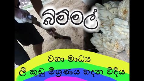 බිම්මල් වගා මාධ්‍ය ලී කුඩු මිශ්‍රණය සාදන ආකාරය Moremorelk Youtube