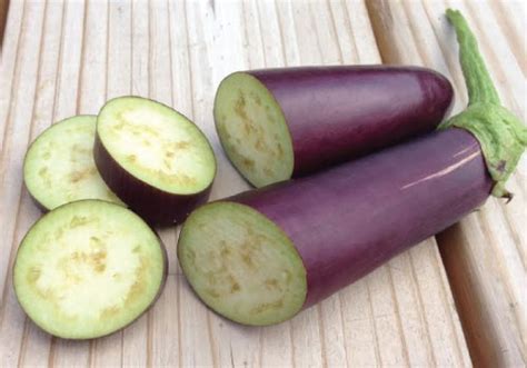 Long Purple Eggplant Seeds Urban Farmer