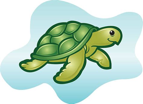 Best Turtle Shell Illustrations Royalty Free Vector