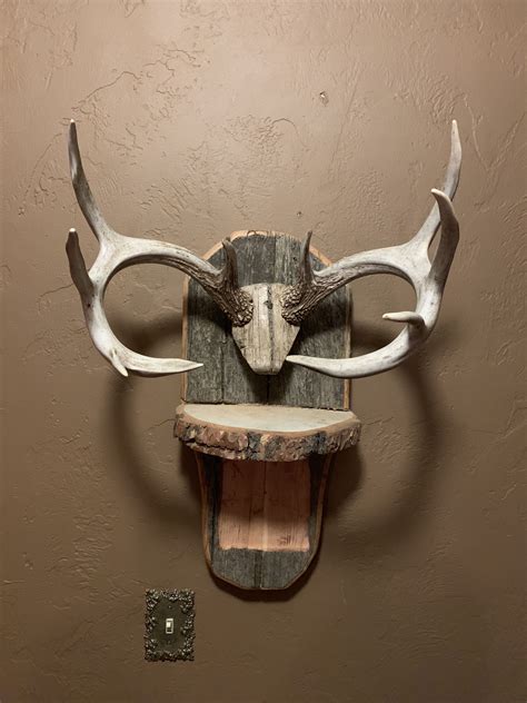 Shed Whitetail Antlers On Corral Barn Wood Barn Wood Deer Mounts