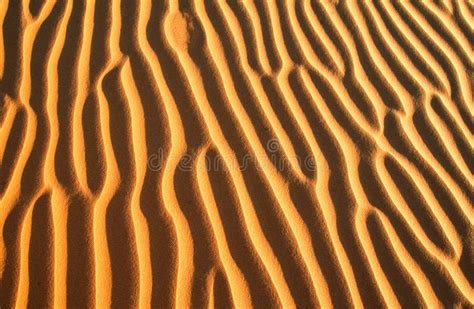 Golden Sand Ripples On The Beach Stock Photo Image Of Coast Desert