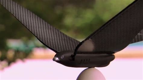 bionic drone bird aims to take flight bbc news