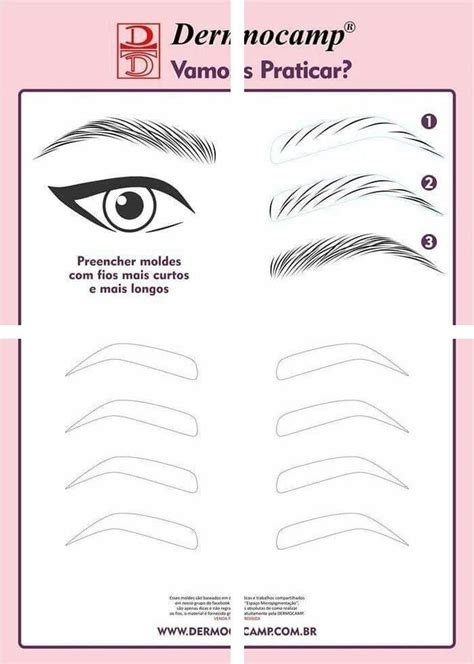 For instance, a rounded jawline is typically tied to a rounder face shape, while a pointed chin is closely associated with a. Eyebrow Shapes | Well Shaped Eyebrows | How To Shape Your ...