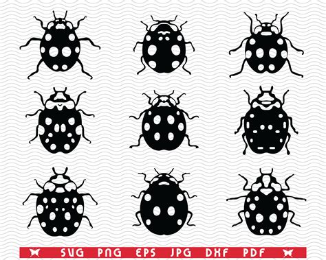 Svg Ladybugs Black Silhouette Digital Clipart By Designstudiorm