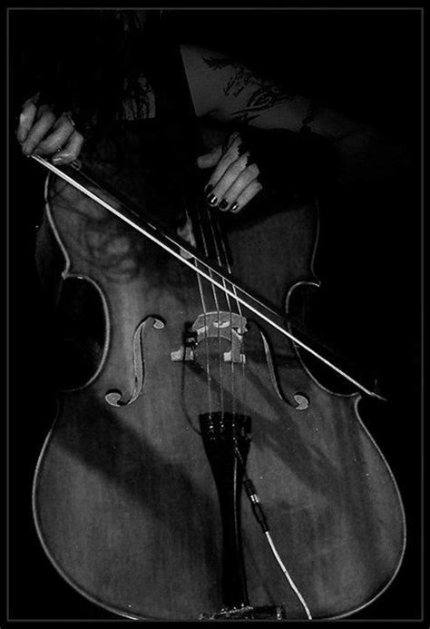 Cello Art Cello Music Play Music Sound Music Violin Senior