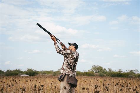 Dove Hunting Tips And Tactics Outdoor Life