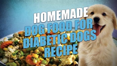 Homemade Dog Food For Diabetic Dogs Recipe Easy To Make Youtube