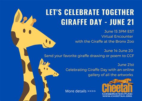 Stand Tall For Giraffe Giraffe Day Cheetah Conservation Fund United