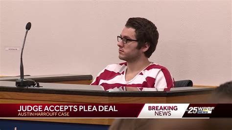 Judge Accepts Insanity Plea Deal For Austin Harrouff In Face Biting Case Youtube