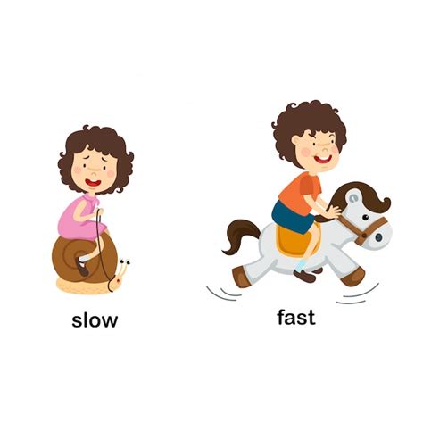 Opposite Slow And Fast Vector Illustration Premium Vector