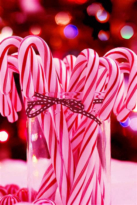 candy cane wallpaper en