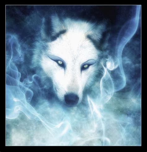 We did not find results for: Cool Wolf Quotes. QuotesGram