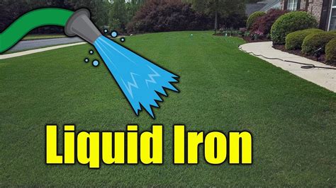 Keep lawns vibrant and healthy by use a timer: Make Grass Green with Liquid Iron - YouTube