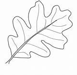 Coloring Leaf Oak Pages Template Leaves Drawing Fall Color Kindergarten Palm Draw Print Getdrawings sketch template