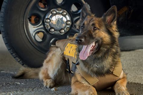 The Berrien County... - Berrien County Michigan - Government