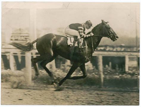 Man O War Racing At Belmont Where One Of The World S Greatest Thoroughbreds Cemented His