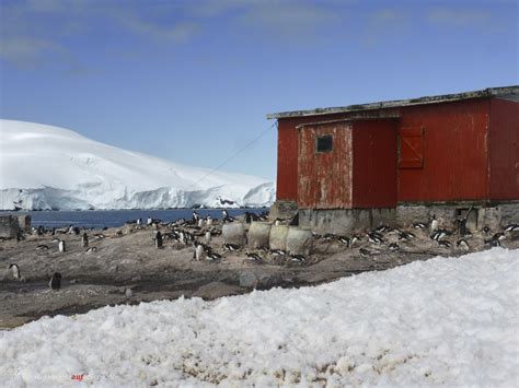 3 Inseln In Der Antarktis Cierva Cove Mikkelsen Harbour Und Spert
