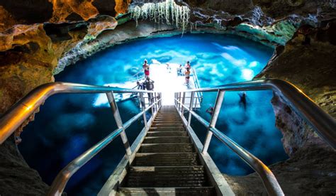 Cave Exploring Right Here In Florida Tampa Bay Date