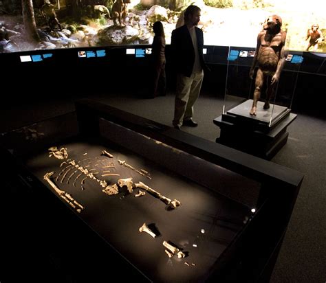The Oldest Human Remains Found In The World Ibloogi