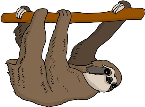 Three Toed Sloth Drawing Free Download On Clipartmag