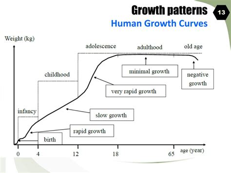 Ppt Growth Patterns Powerpoint Presentation Free Download Id3042820