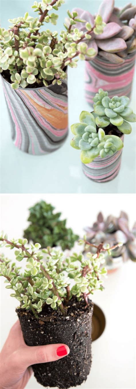 12 Colorful Succulent Container Garden Ideas For Your Indoor Garden
