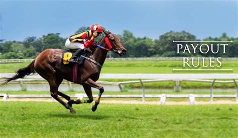 The singapore turf club is the most oldest existing club in singapore and the main approved administrator of horse hustling, and horse wagering administrations in singapore. Payout rules | Asaa88