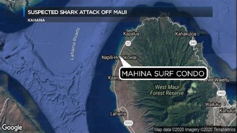 California Woman Hospitalized After Suspected Shark Attack Off Maui