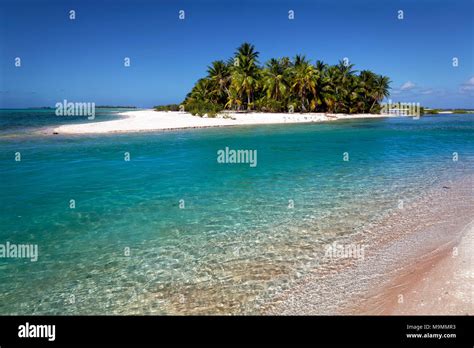 Lonely Island Beach With Palms Tikehau Atoll Tuamotu Archipelago