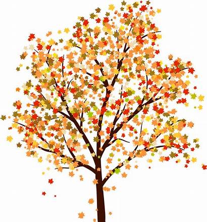 Fall Drawing Trees Autumn Tree Leaves Drawings